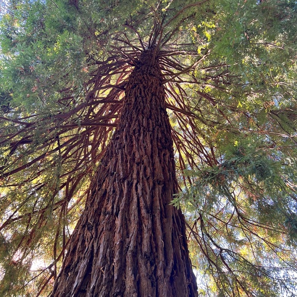 Meet your Posher, Rachael - Picture 11 of 14